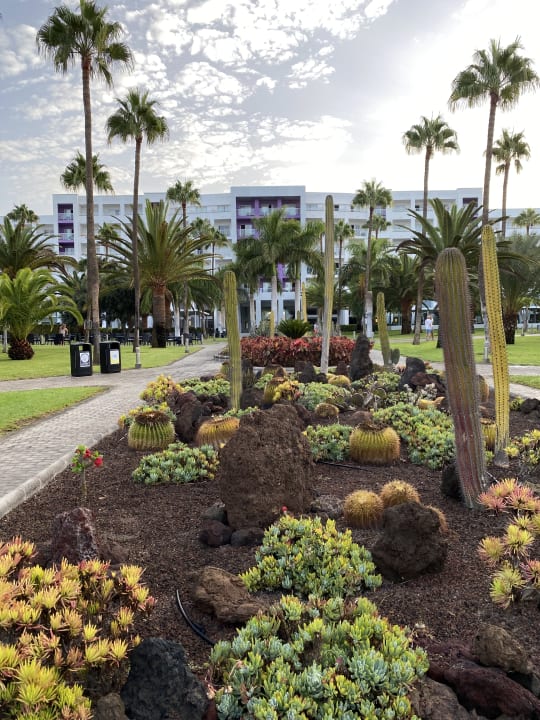 Gartenanlage Hotel Riu Gran Canaria