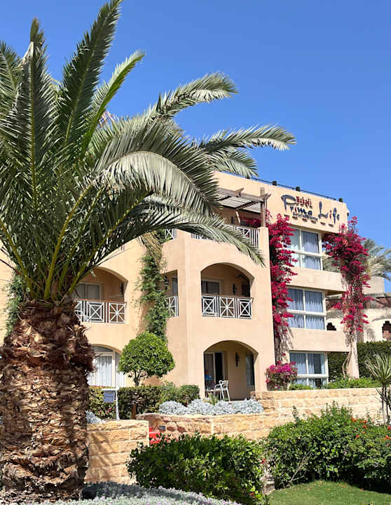 Zimmer Prima Life Makadi Resort