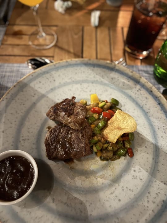 Gastro JAZ Elite Amara