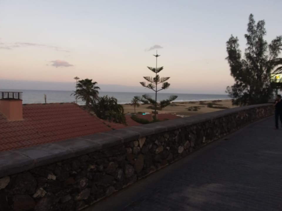 Ausblick Hotel Riu Palace Palmeras