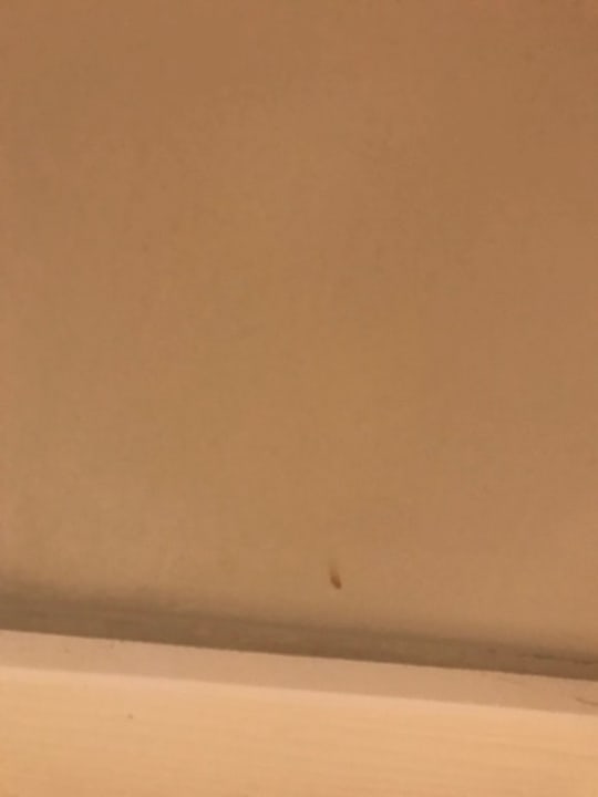 Zimmer The Cozy Hotel Timmendorfer Strand