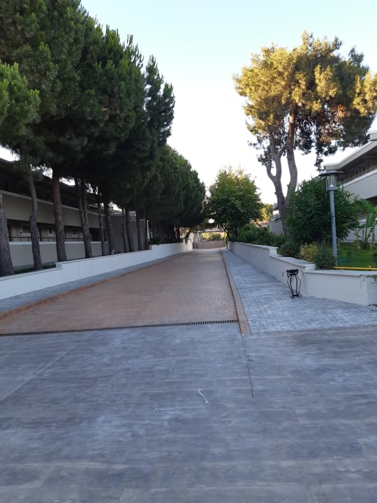 Sonstiges Master Family Club