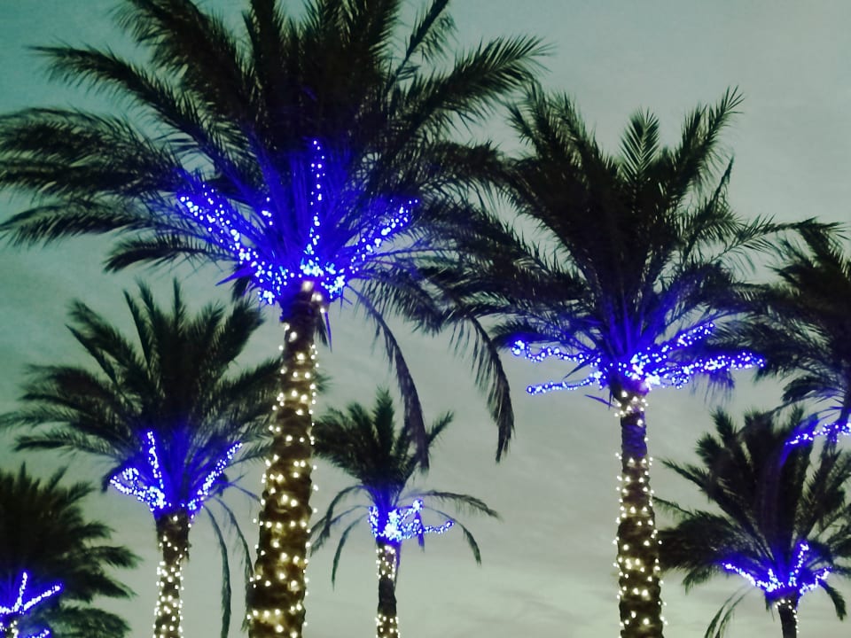 Gartenanlage Palm Royale Resort - Soma Bay