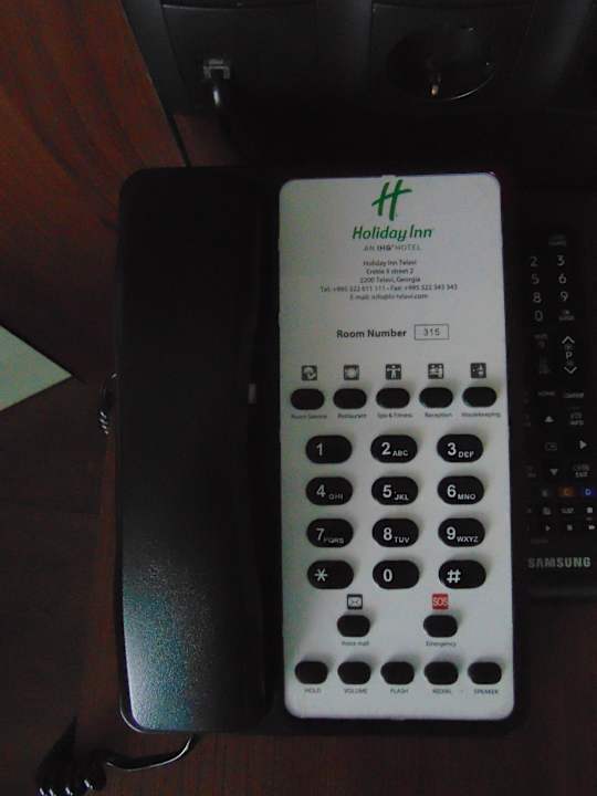 Zimmer Holiday Inn Telavi