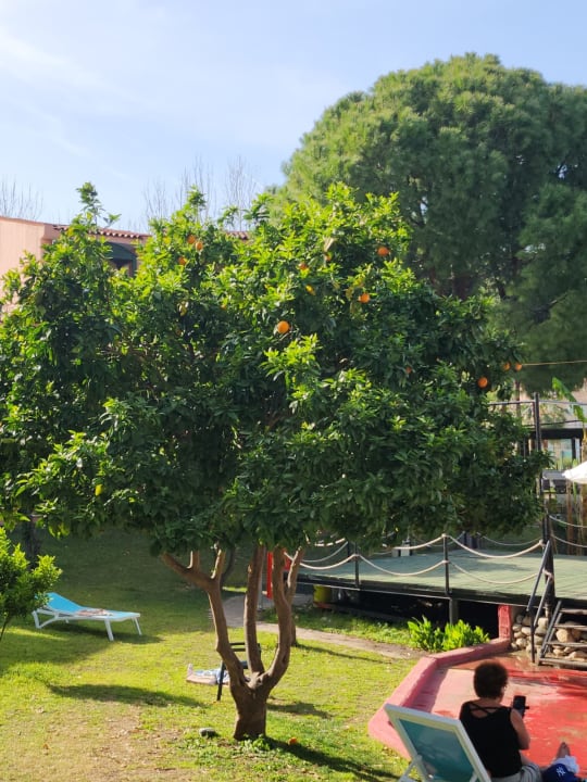 Gartenanlage Limak Limra Hotel & Resort