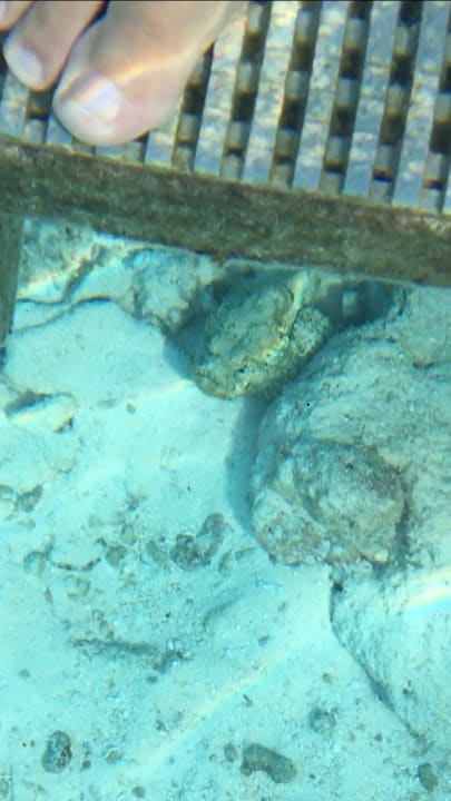 Strand Centara Ras Fushi Resort & Spa Maldives