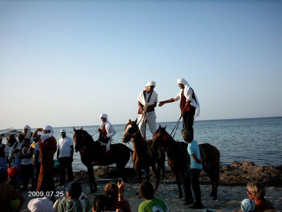 Reiterspiele "Fantasia" Djerba Sun Beach Hotel & Spa