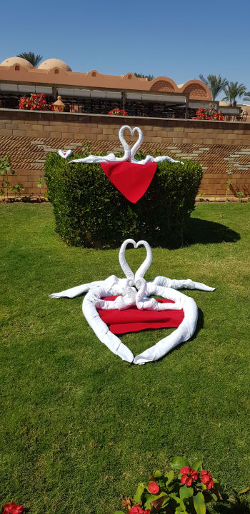 Gartenanlage Jaz Makadi Oasis Resort