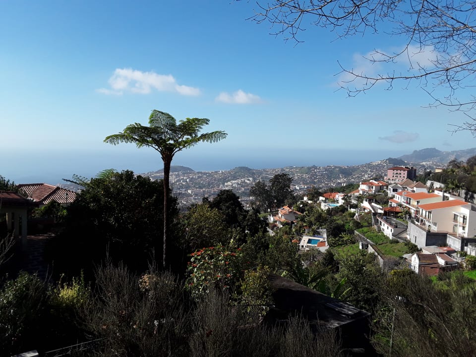 Ausblick Dorisol Estrelicia Hotel