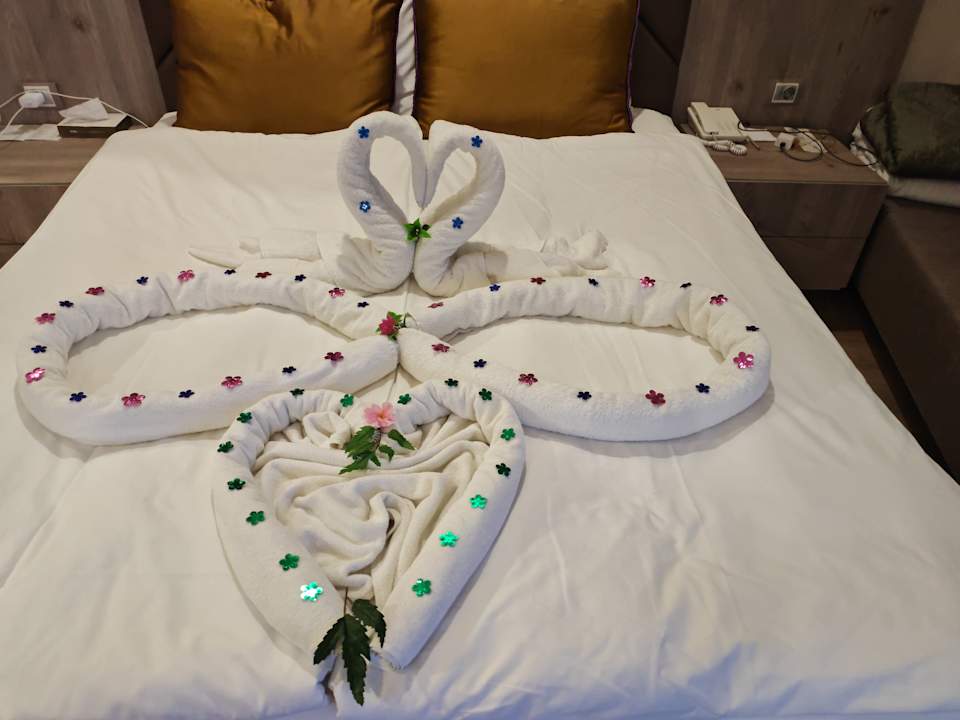 Zimmer Delphin BE Grand