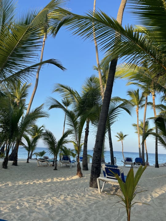 Strand Hotel Riu Palace Bavaro