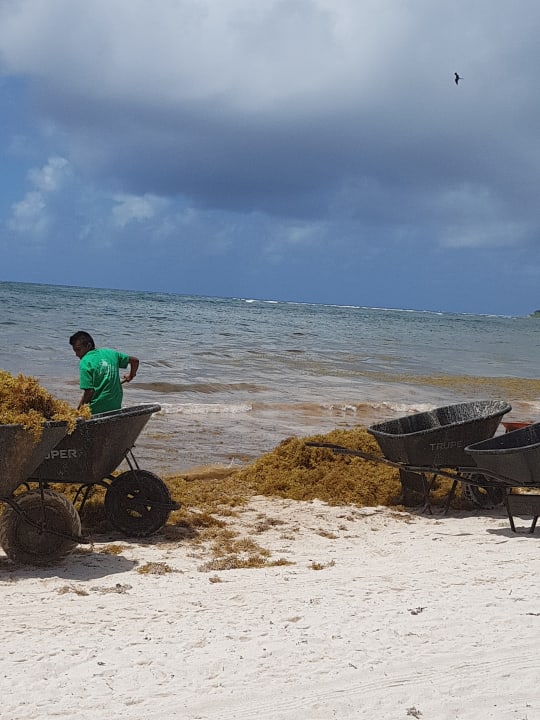 Strand Akumal Bay Beach & Wellness Resort