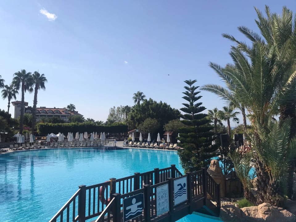 Pool Alba Resort Hotel