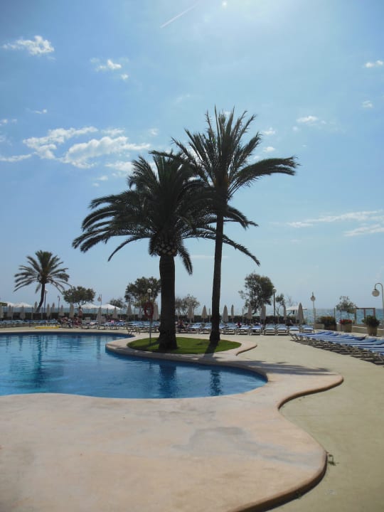 Seitlicher Blick Aparthotel Playa Dorada