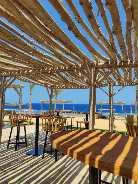 Gastro Steigenberger Resort Alaya Marsa Alam - Red Sea - Adults only