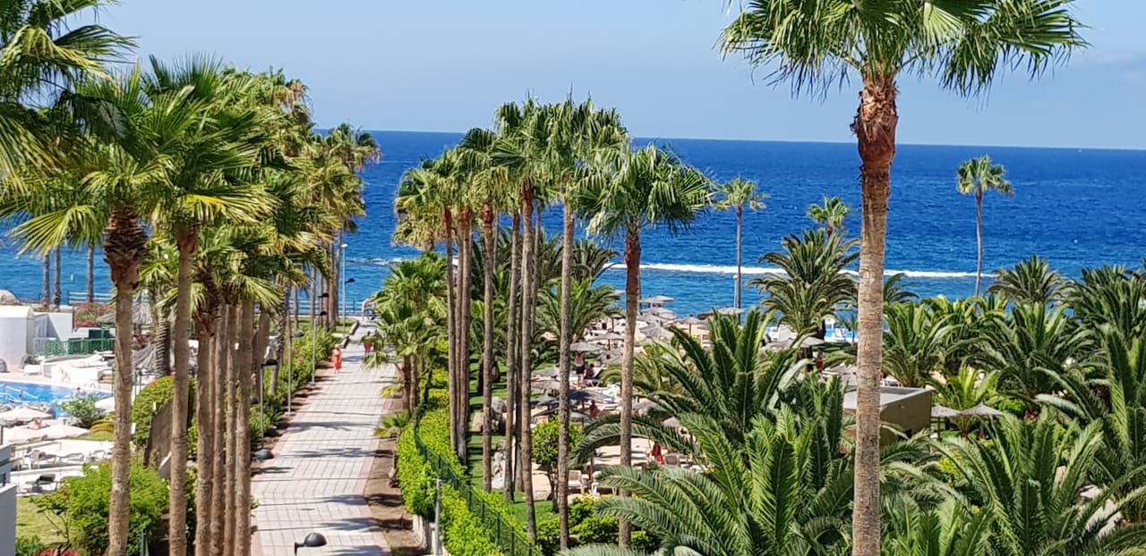 Ausblick Hotel Riu Palace Tenerife