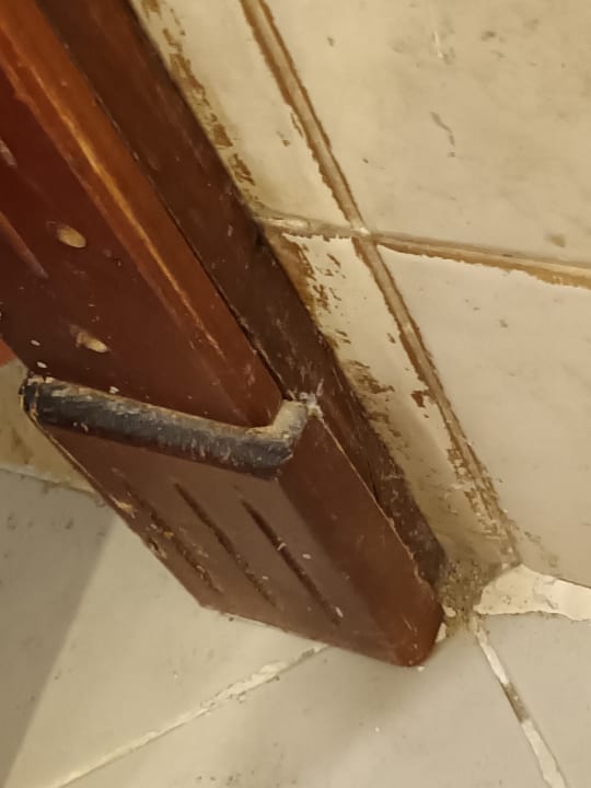 Zimmer Malikia Resort Abu Dabbab