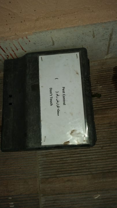 Zimmer Pickalbatros Aqua Park Resort - Hurghada