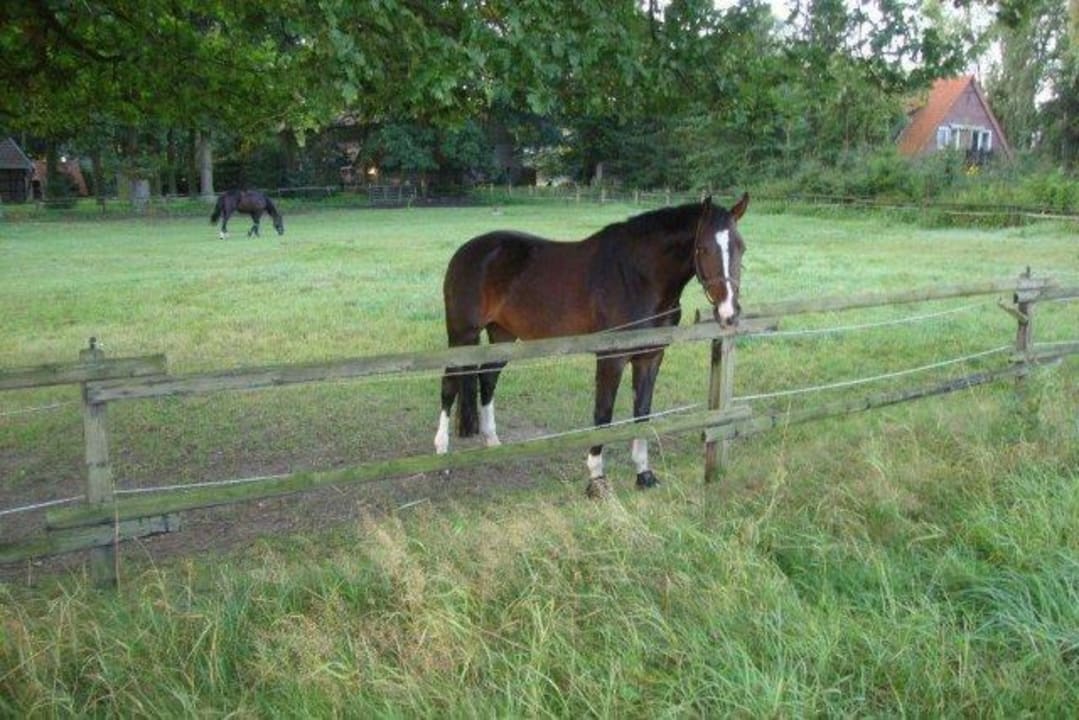 Gartenanlage Ihr Ferien Hotel Brunnenhof