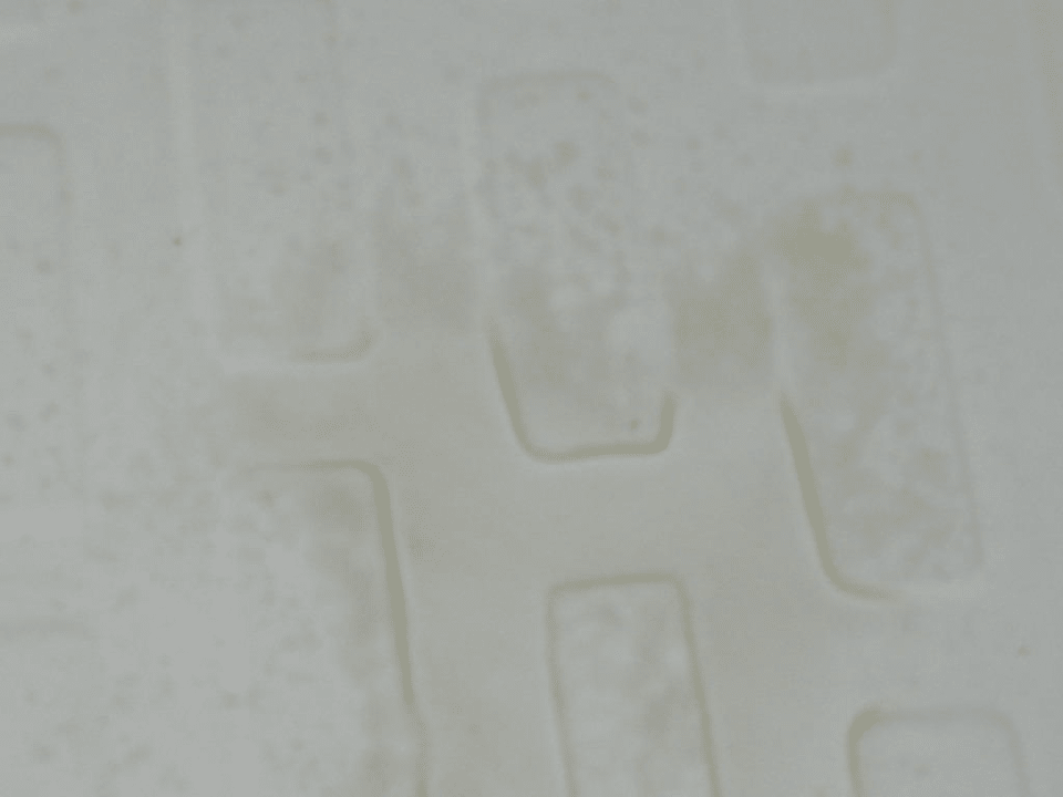 Nach Badreinigung Hotel Belussi Beach