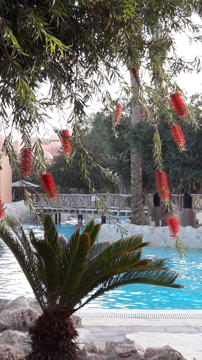 Einfach schön Grand Makadi