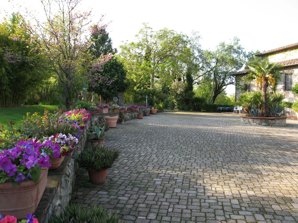 Hotel Il Pietreto Hotel Il Pietreto