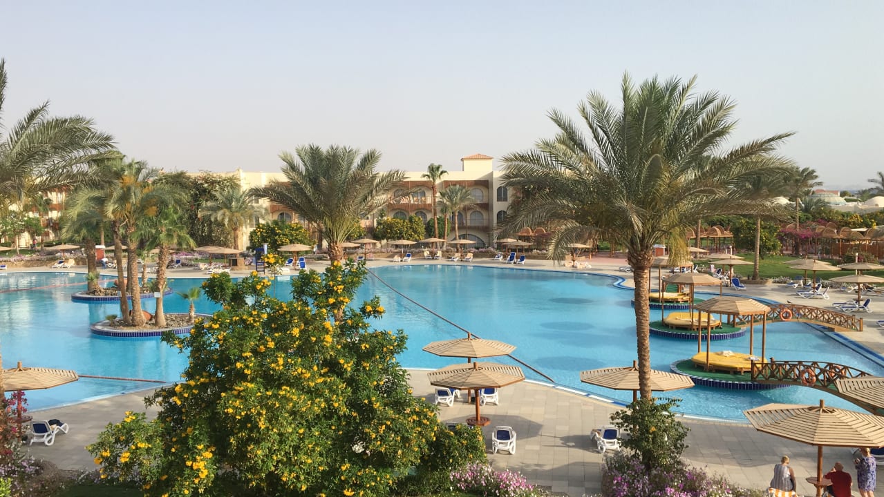 Ausblick aus dem Zimmer Desert Rose