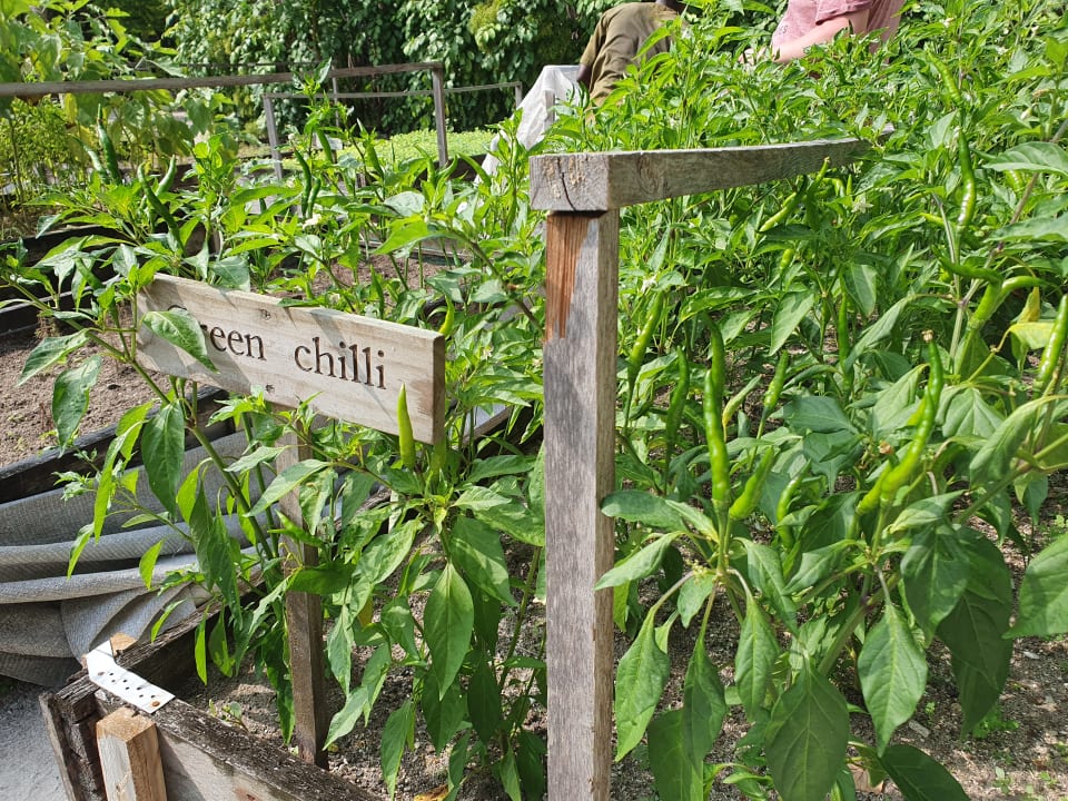 Gartenanlage Gili Lankanfushi Resort