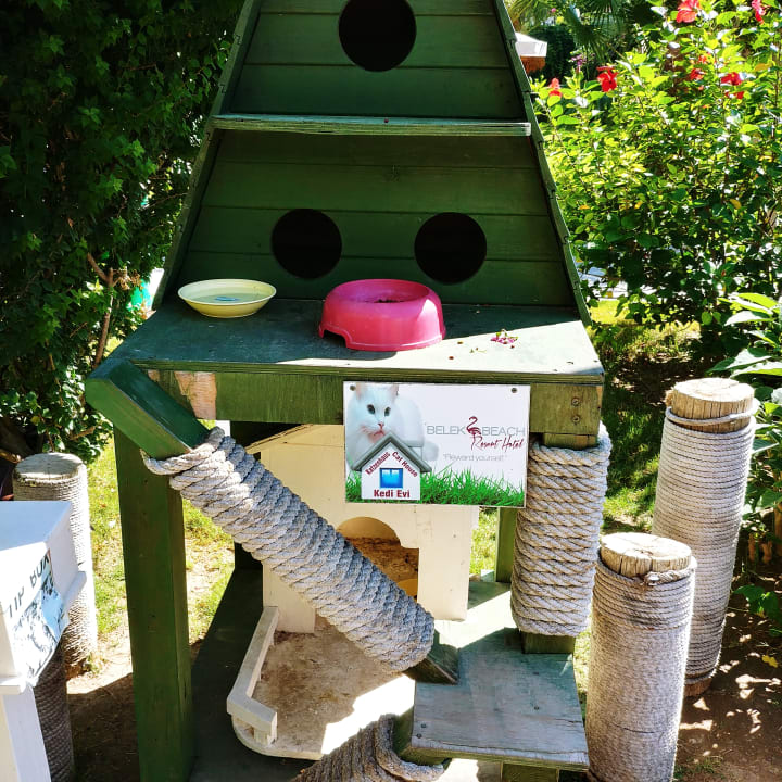 Gartenanlage Belek Beach Resort Hotel