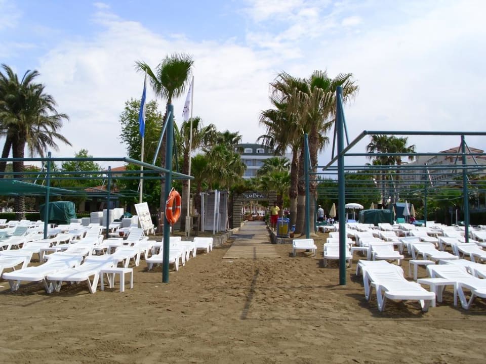 Blick vom Strand  Trendy Palm Beach (Adults Only, 16+)