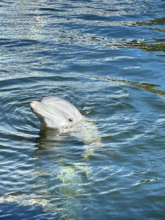 Sonstiges Hotel Sunset Cove Beach Resort