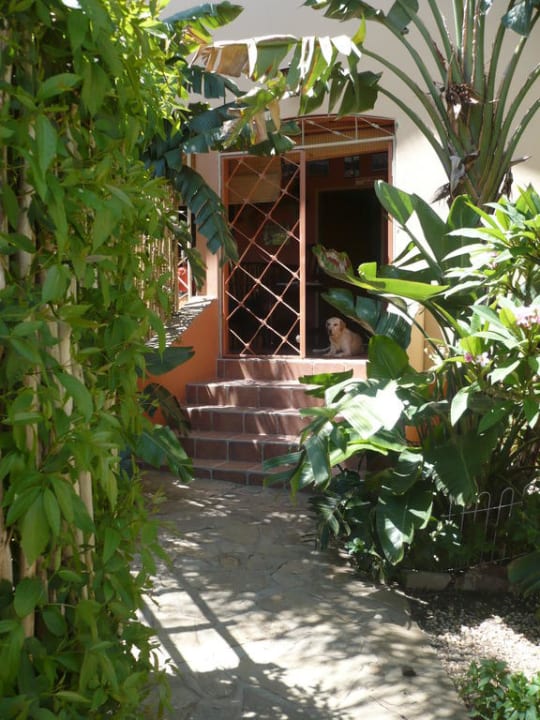 Garten & Pool Kashima B&B