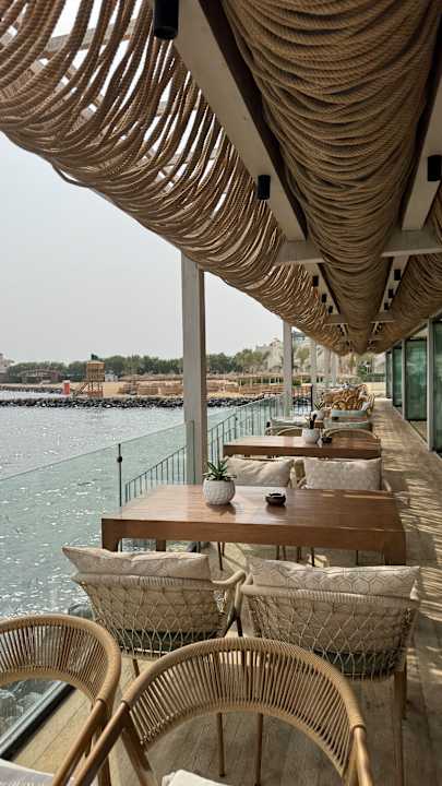 Sonstiges Desert Rose