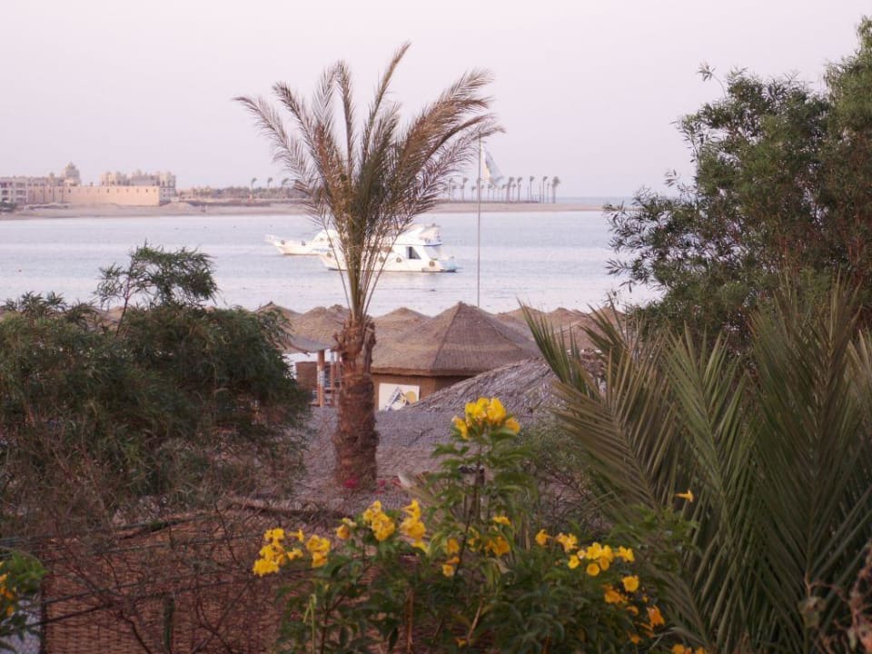 Ausblick vom Balkon Iberotel Makadi Beach