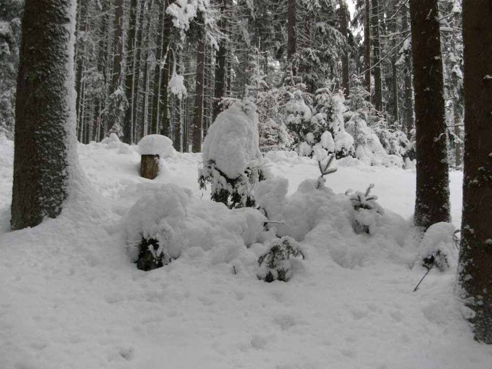 Umgebung bei einem Spaziergang Hotel Ahornhof