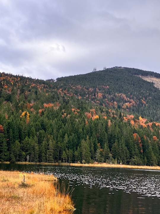 Sport & Freizeit Hotel Das Waldkönig