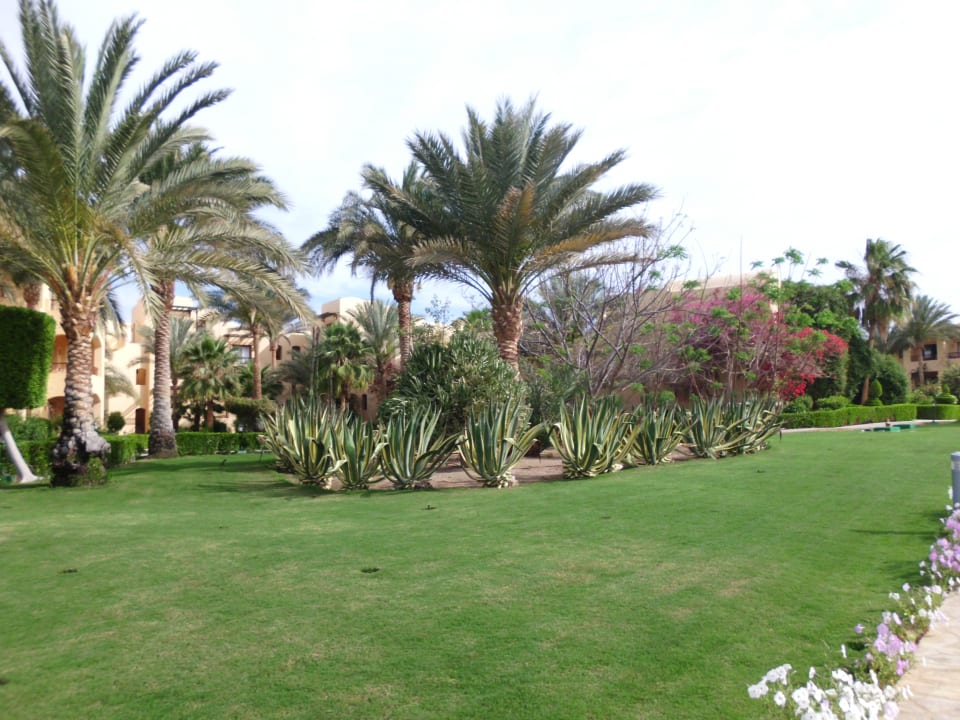 Gartenanlage Steigenberger Coraya Beach - Adults only