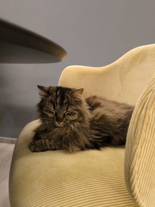 Gastro Hotel Villa Alberta