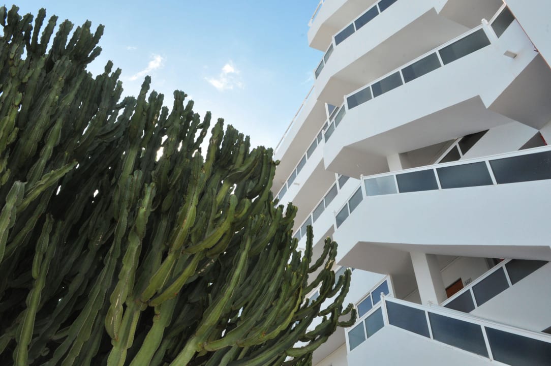 Escaleras Apartments Calma