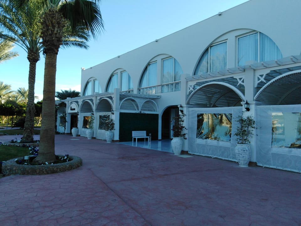 Außenansicht Desert Rose