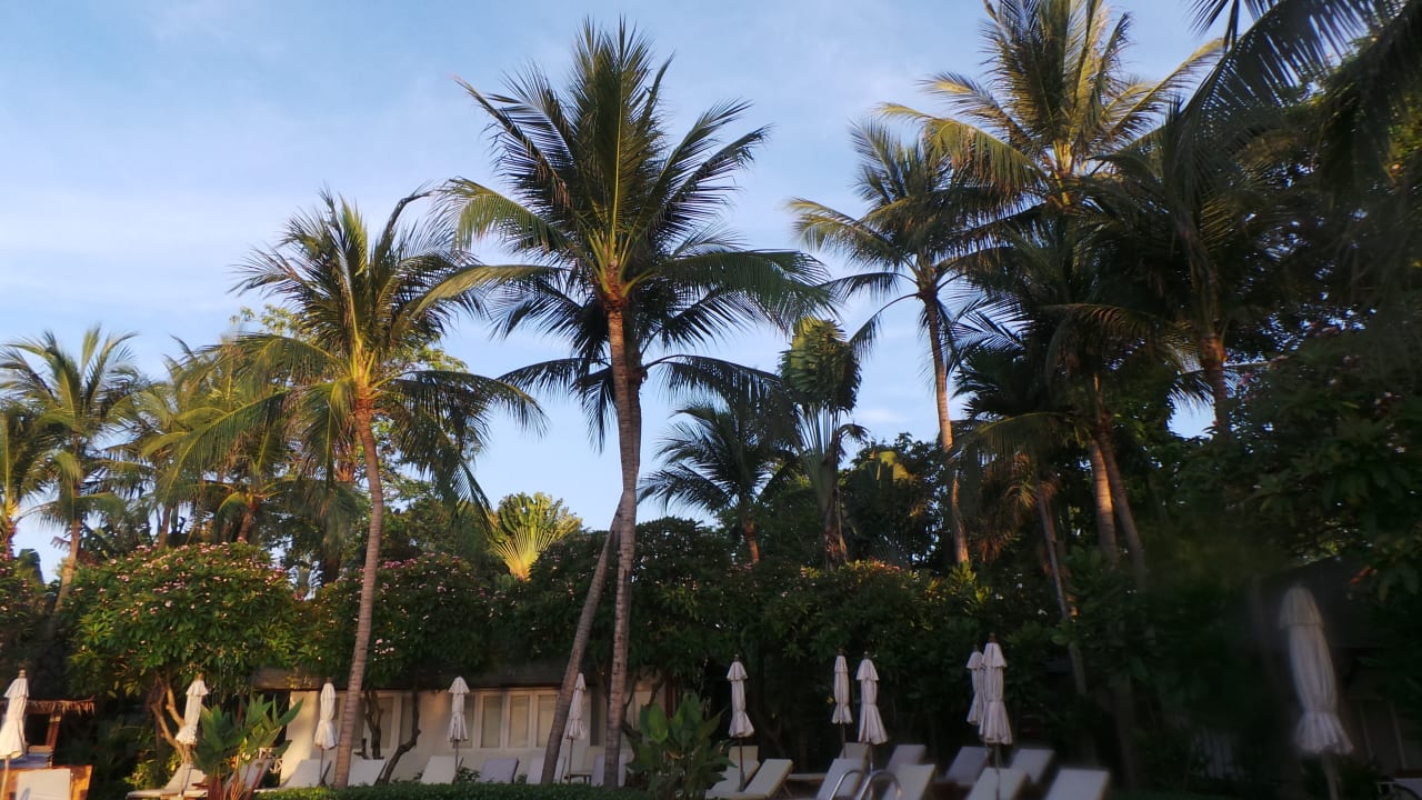Sonstiges Banana Fan Sea Resort