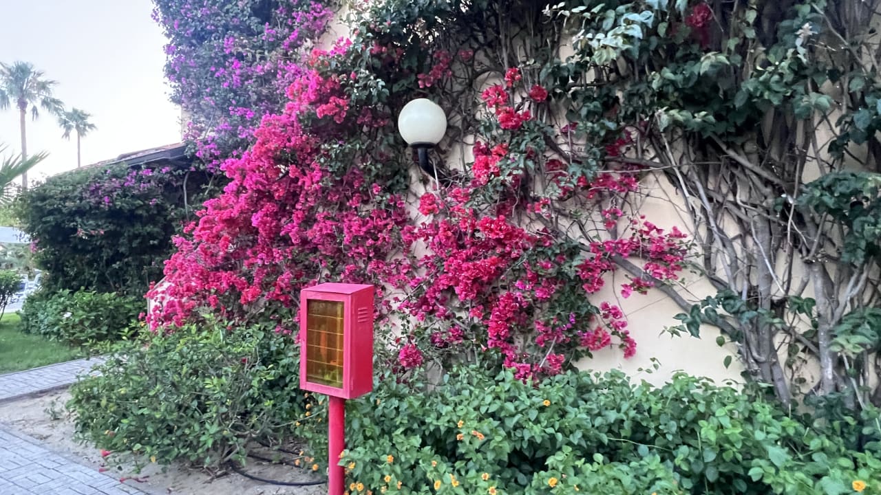 Gartenanlage TUI MAGIC LIFE Calabria