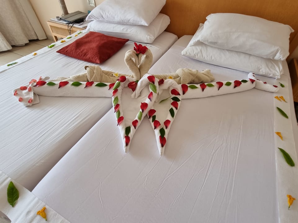 Zimmer Hotel JAZ Makadi Star & Spa