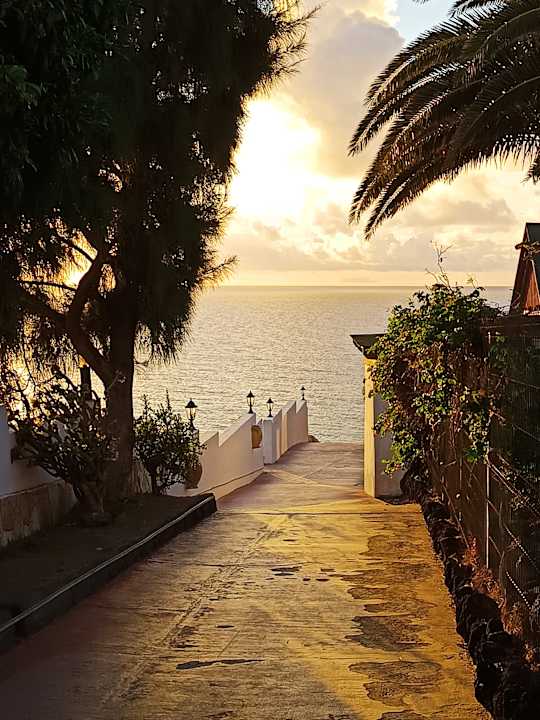 Gartenanlage Marina Playa Suite Hotel