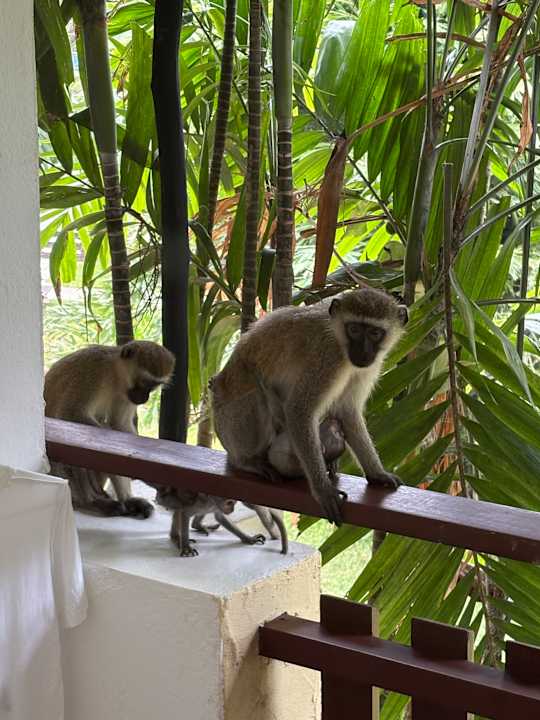 Sonstiges Bahari Beach Hotel