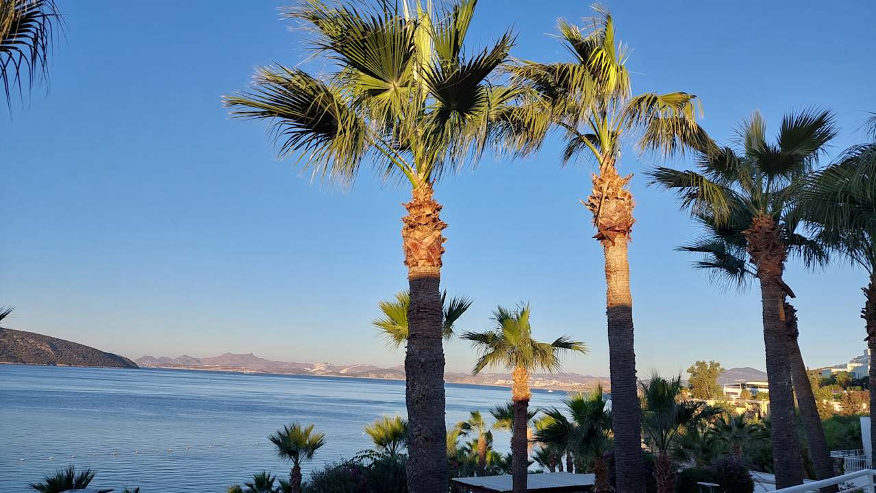Sonstiges TUI MAGIC LIFE Bodrum - Adult Only (16+)