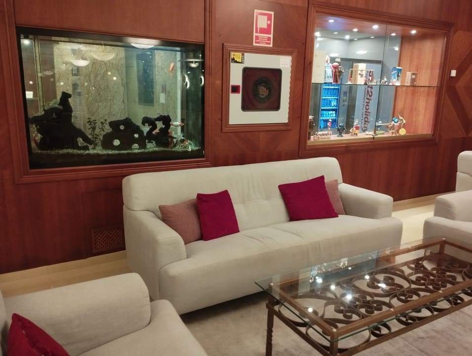 Lobby Bellamar Hotel Beach & Spa