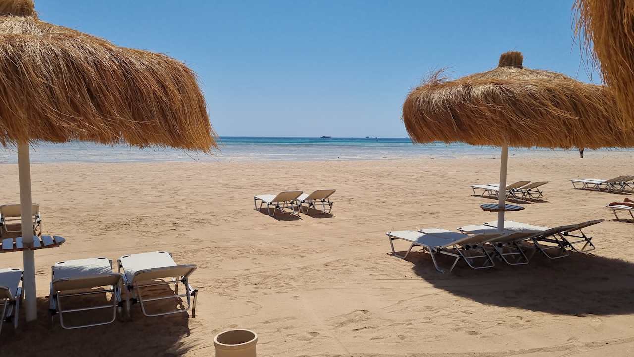 Strand JAZ Elite Asteria