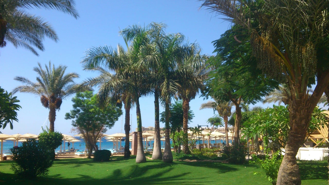 Novotel Sharm el Sheikh Novotel Sharm El Sheikh