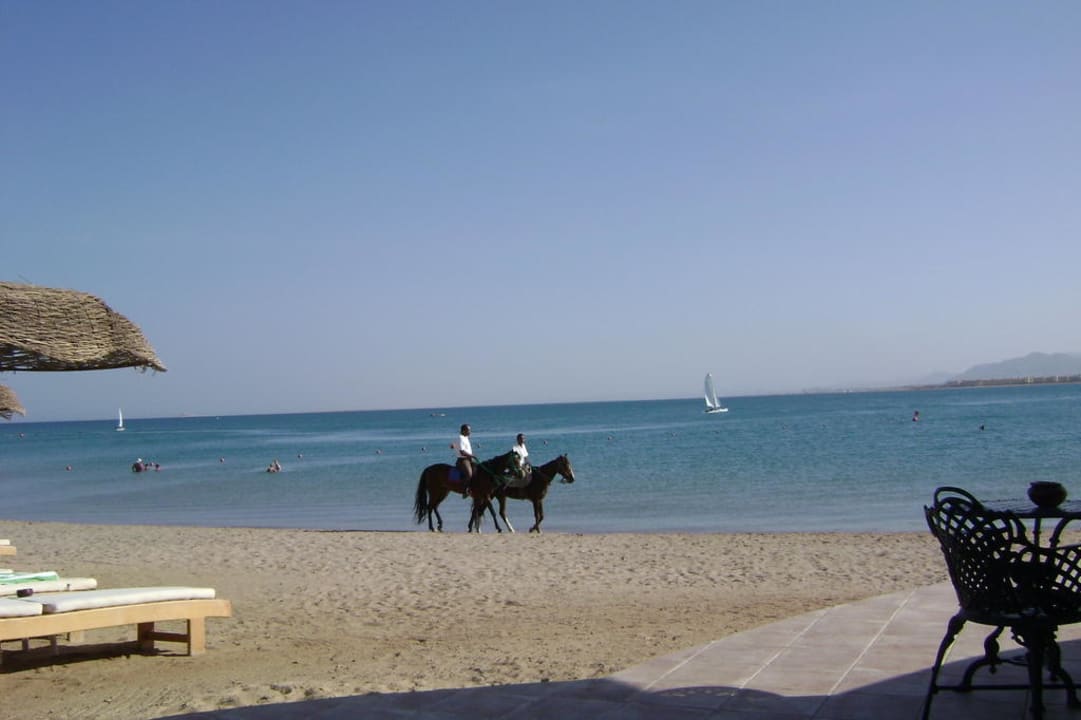 Blick von Strandbar auf Bucht Palm Royale Resort - Soma Bay